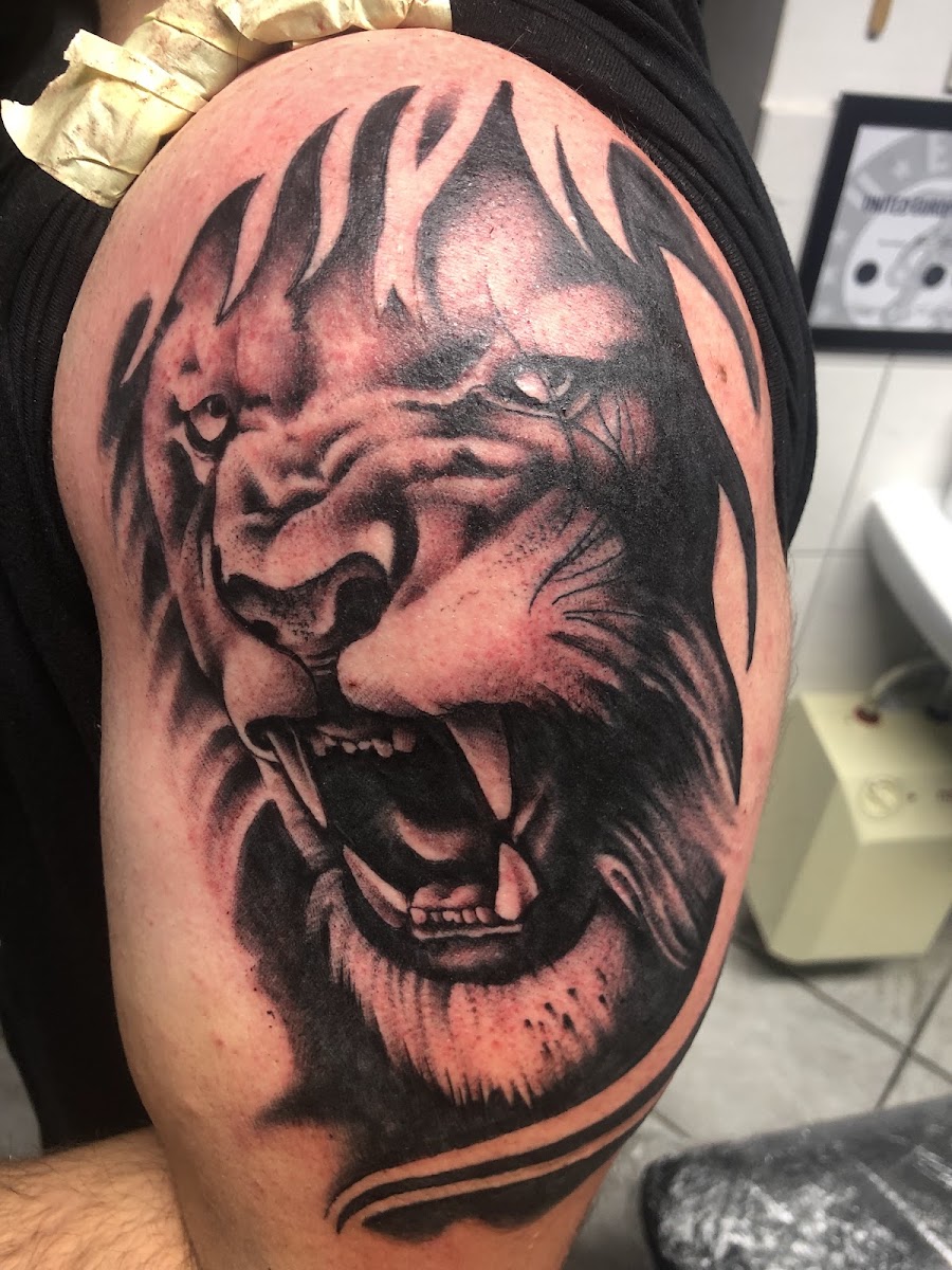 Löwenkopf-Tattoo, im Hintergrund das Studio-Interieur von Nekromantix